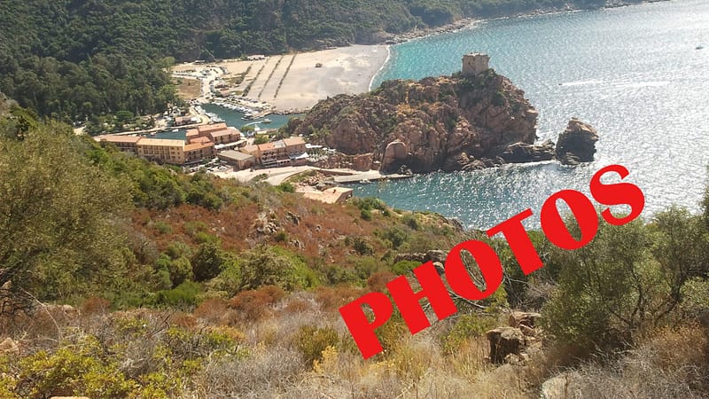 Le Tour de Corse, surnommé le "Rallye des 10 000 virages", est une épreuve légendaire du Championnat du Monde des Rallyes. Situé en Corse, il offre des routes sinueuses à travers des paysages spectaculaires, mettant à l'épreuve les compétences des pilotes avec ses défis techniques et ses panoramas époustouflants.